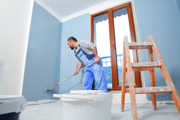 Best Mold Odor Removal Services  in USA